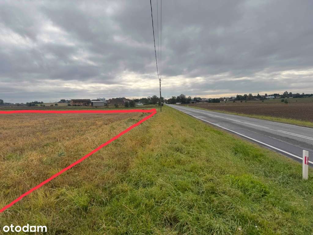 Urokliwe działki siedliskowe 3000m2-10 000m2 - Pełny obrazek: 5/9