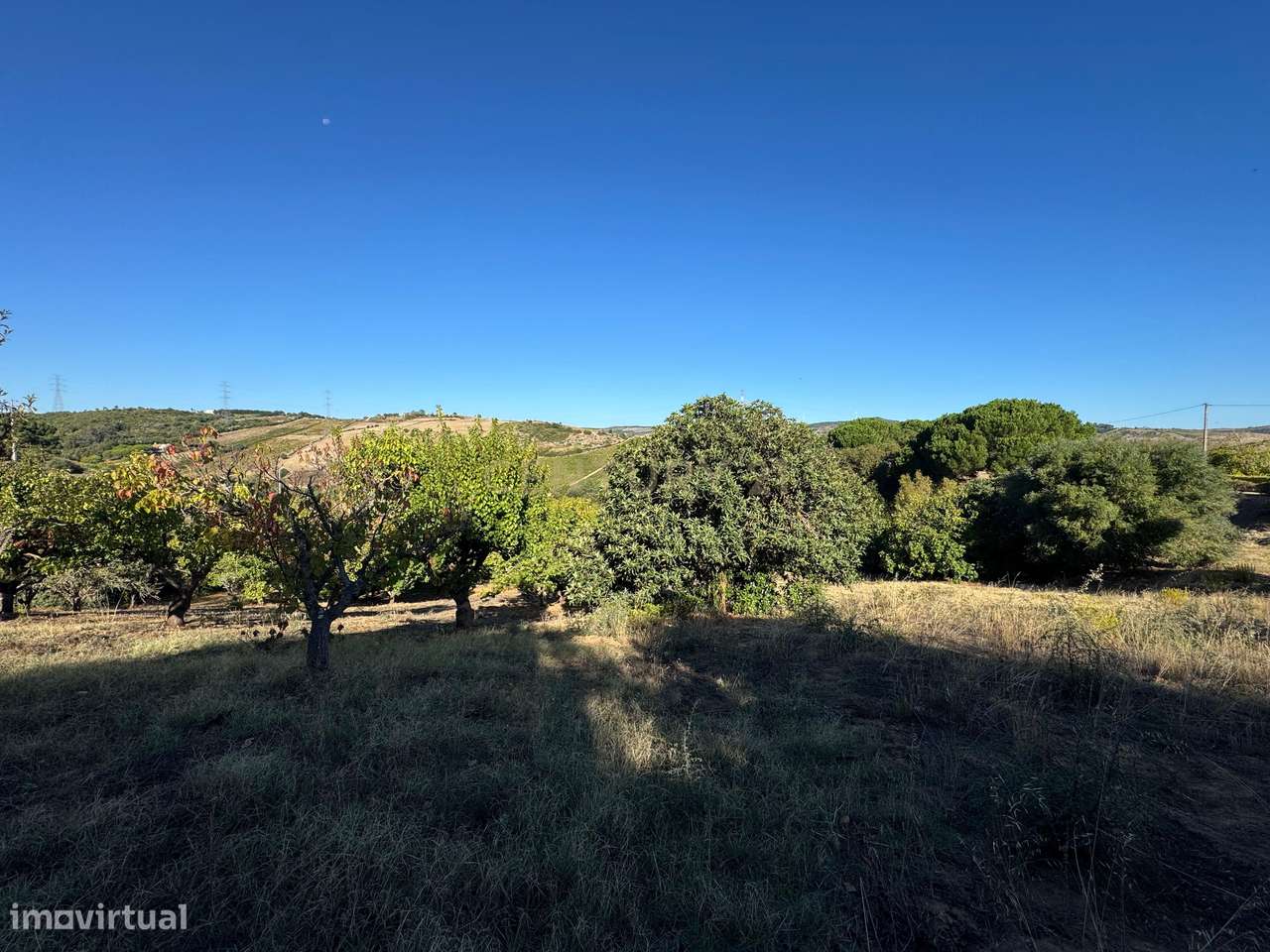 Terreno à venda em Castanheira do Ribatejo, Vila Franca de Xira - Grande imagem: 4/12