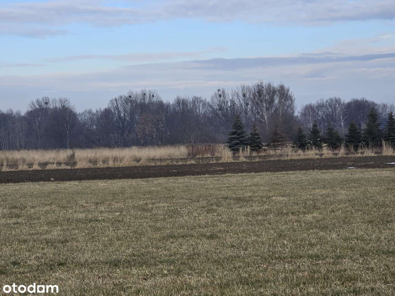 Mikołów Bujaków - piękna cicha okolica-5