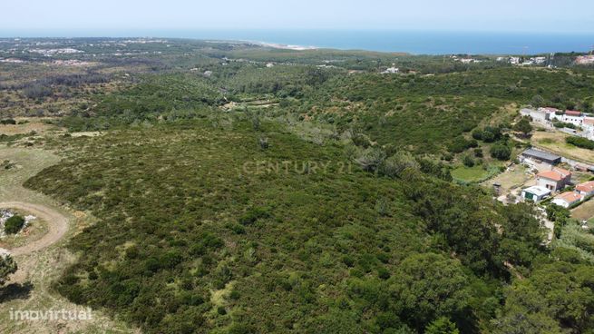 Terreno Rústico de 20.920 m² em Alcabideche, Cascais – Uma Oportunida-18