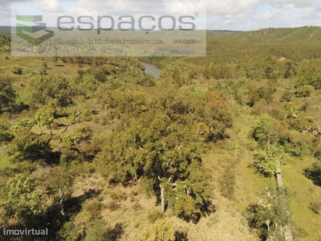 Terreno Florestal a confinar com o Rio Ponsul - Grande imagem: 4/30