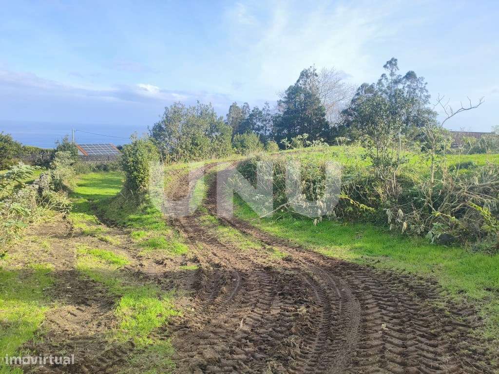 Terreno Rústico- Capelas-8