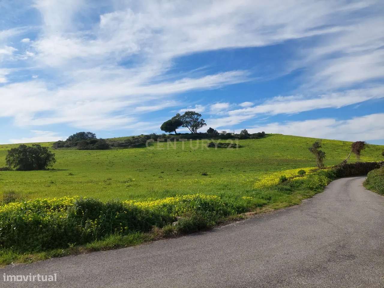 Quinta - 25 hectares-27