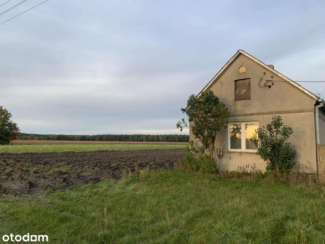 na sprzedaż siedlisko Ladorudz pow Koło-4