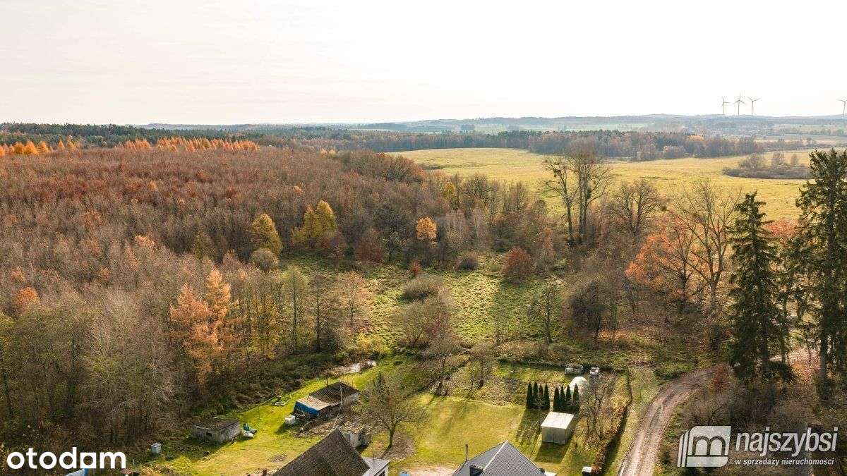 Zagórze-Atrakcyjna działka przy lesie - Pełny obrazek: 4/13