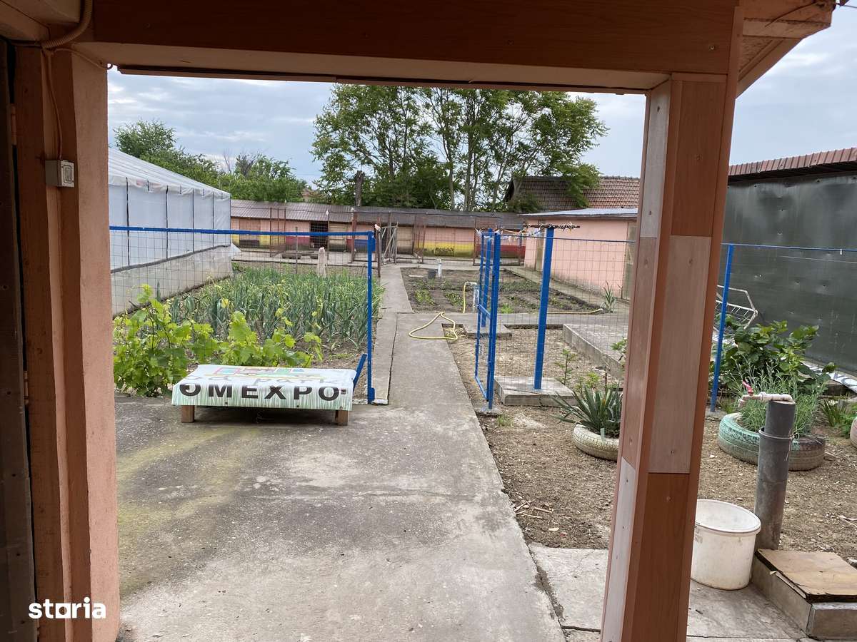 Vând casă județul Teleorman cu utilități de microfermă - Imagine principală: 4/7