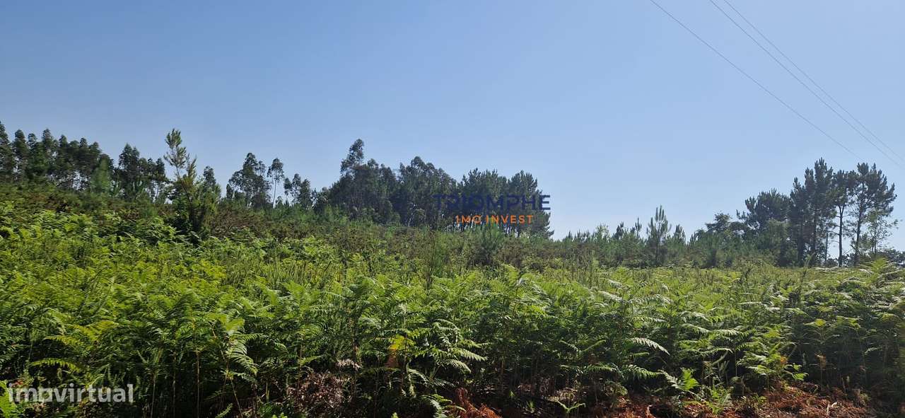 Terreno Rústico Pombal - Grande imagem: 2/5