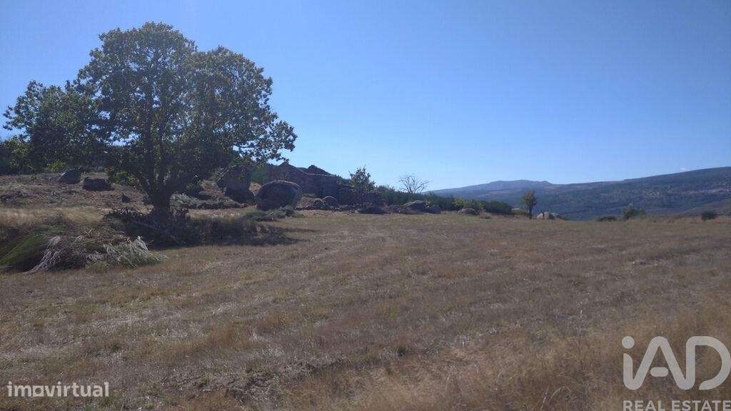 Quinta em Corujeira e Trinta de 36870,00 m2 - Grande imagem: 5/25