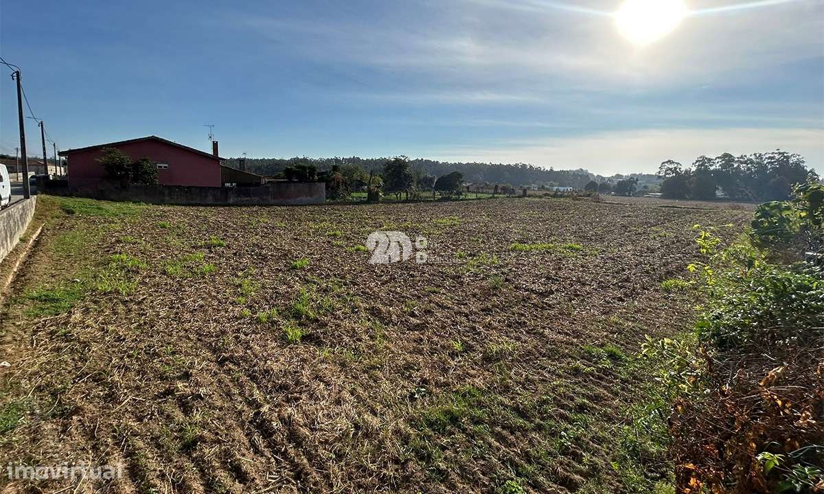 Terreno 3000m² p/ construção - Vilar e Mosteiró - Grande imagem: 5/11