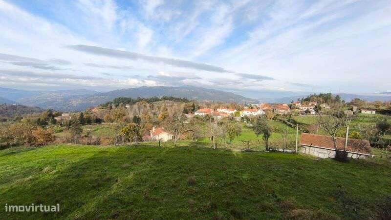 Terreno Rústico / Cinfães, Cinfães-5
