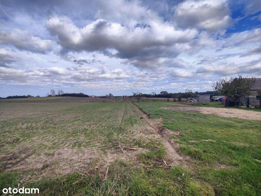 Na sprzedaż działki budowlane -Lisewo, gm. Skulsk - Pełny obrazek: 5/9