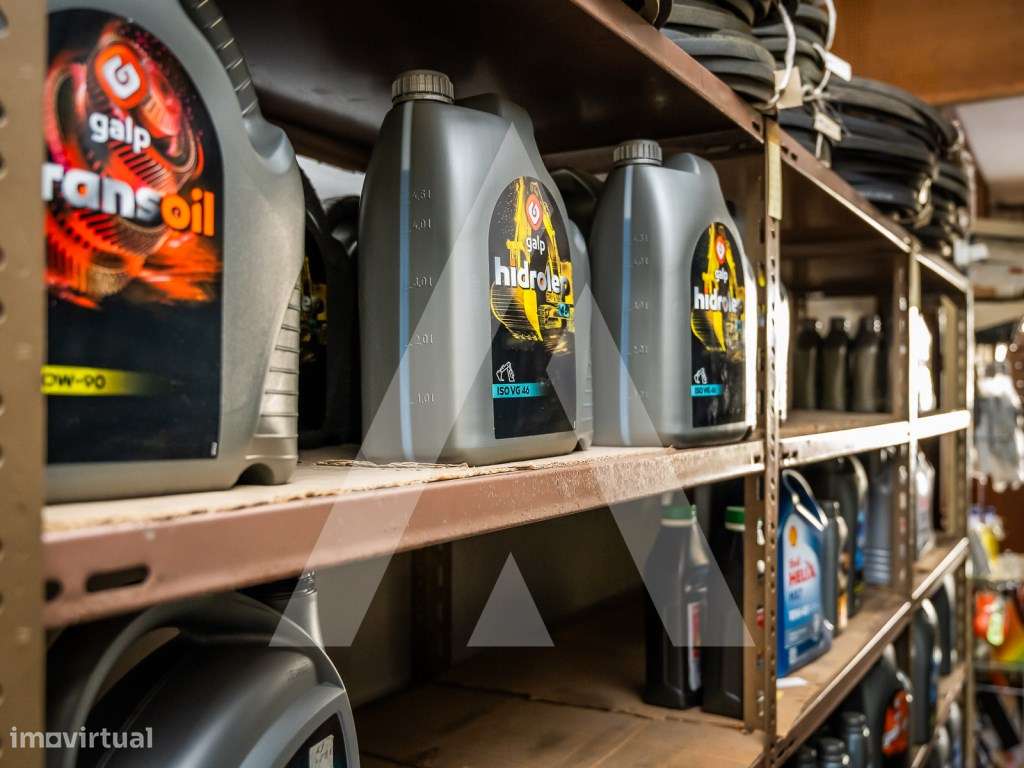 Trespasse em Albergaria-a-Velha-14