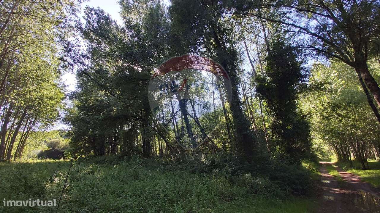 Terreno  para venda - Grande imagem: 5/11