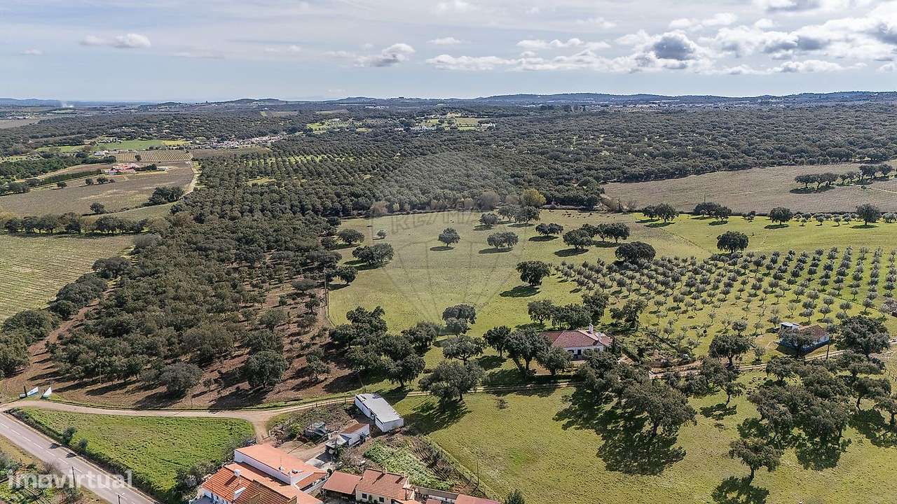 Quinta T4 para venda - Grande imagem: 4/37