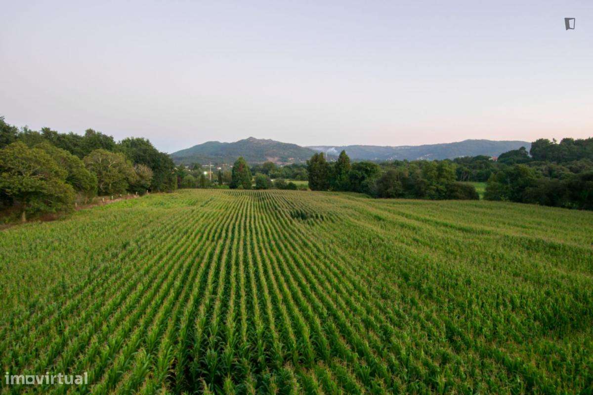 Casa com 8 quartos - localizado em Ponte de lima - Grande imagem: 4/10