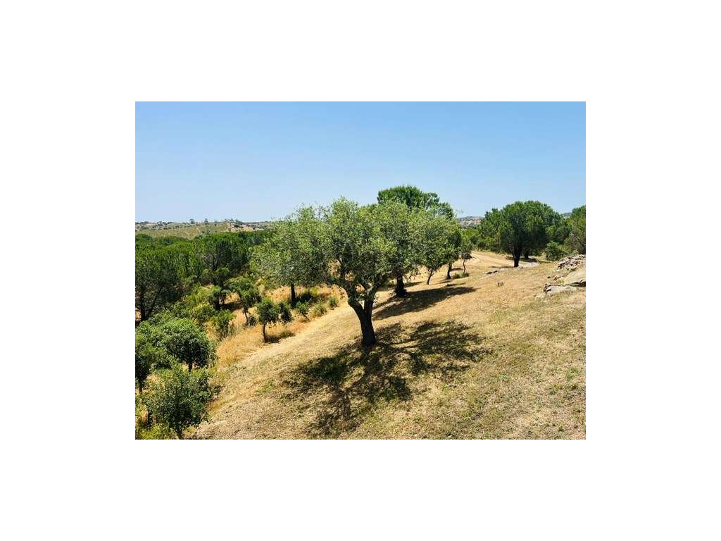 Herdade renovada com 4 quartos e piscina em Ourique.-29