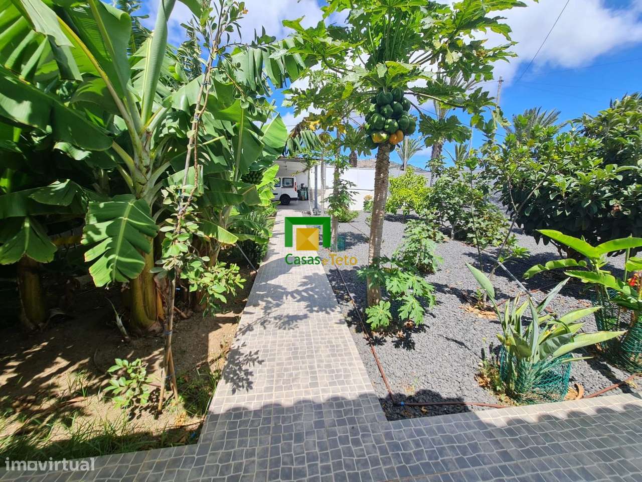 MORADIA TÉRREA - PORTO SANTO - Grande imagem: 4/18