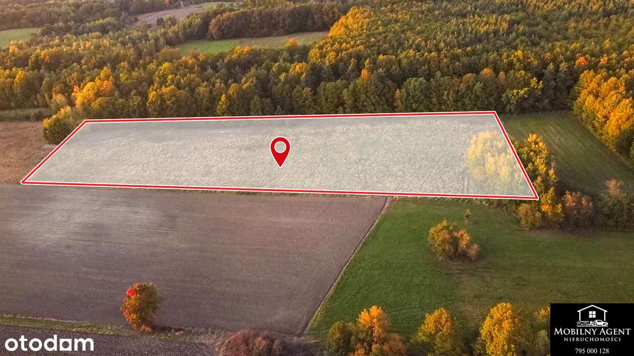 Piękna działka pod lasem na sprzedaż - Pełny obrazek: 4/7