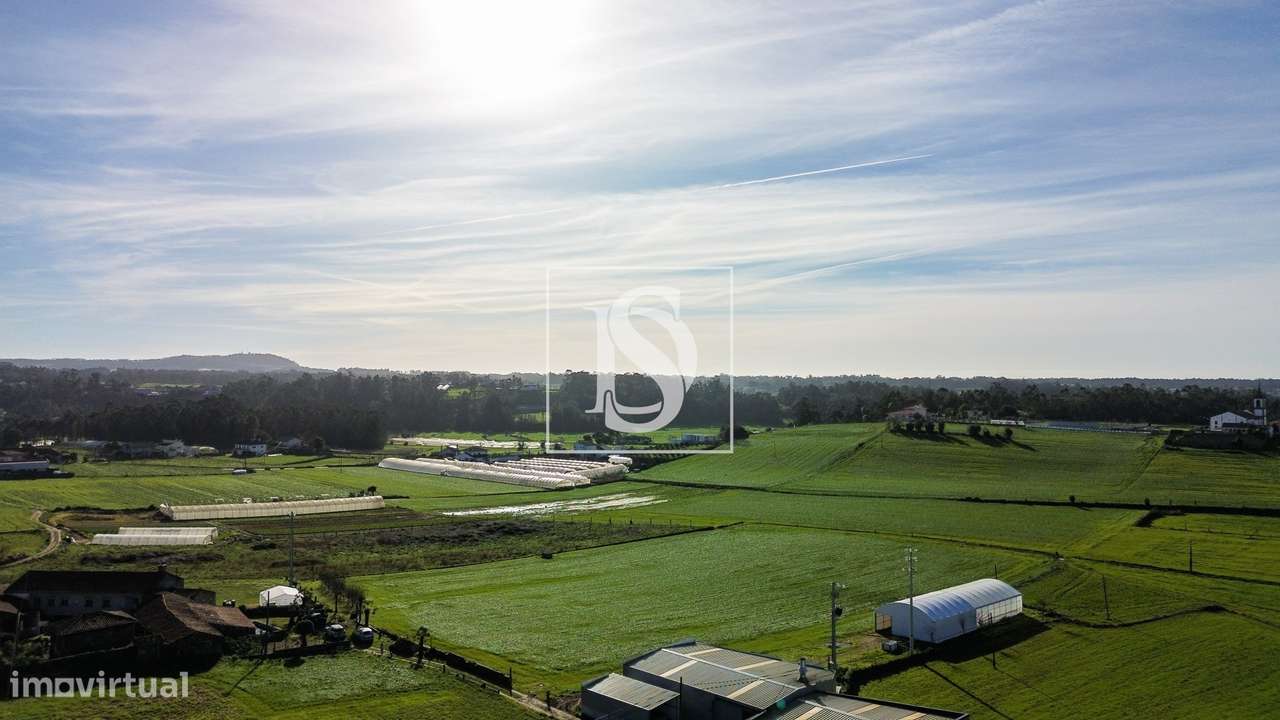 Terreno Agrícola - Grande imagem: 4/21