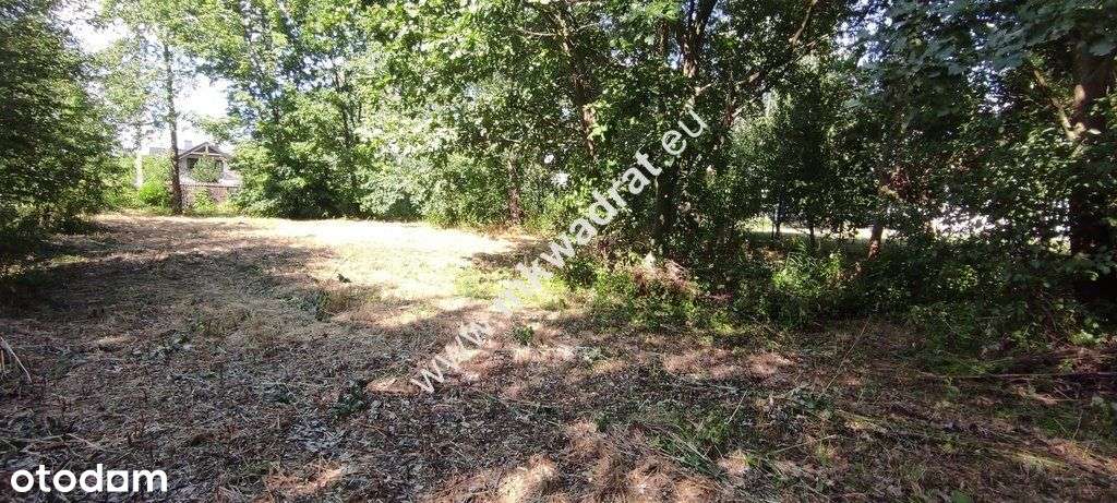 ⭐⭐⭐⭐⭐ Blisko Wkd Z Warunkami Zabudowy Media! ⭐⭐⭐⭐⭐-8