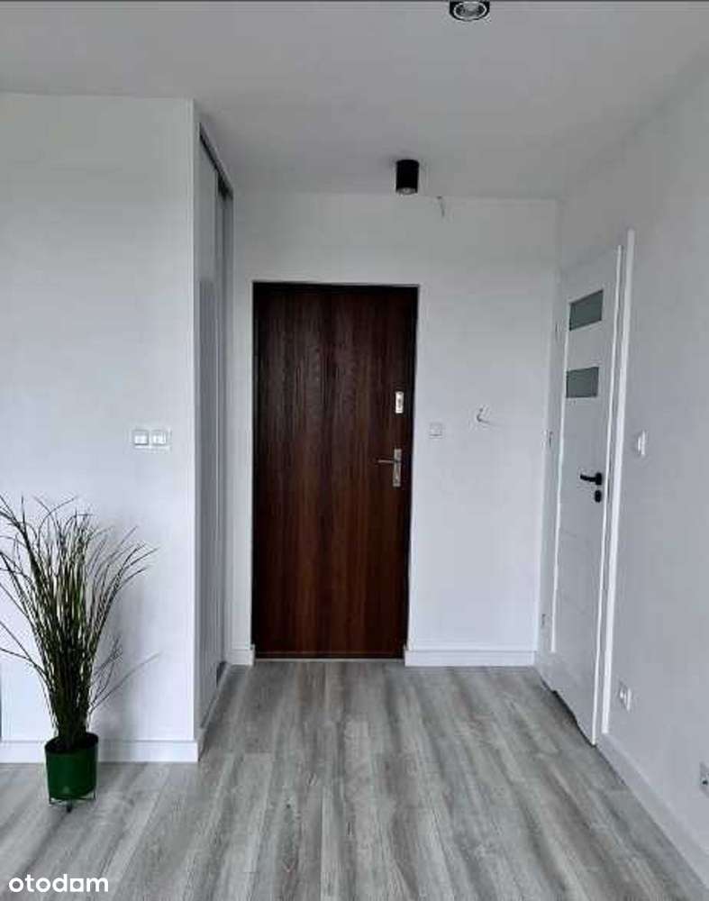 Kawalerka po kapitalnym remoncie Piątkowo - Pełny obrazek: 3/9