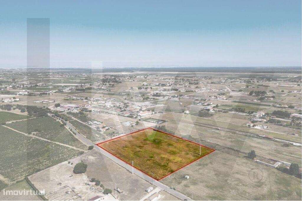 Terreno RÚSTICO c/ 1,86ha | Cajados - Palmela - Grande imagem: 4/12