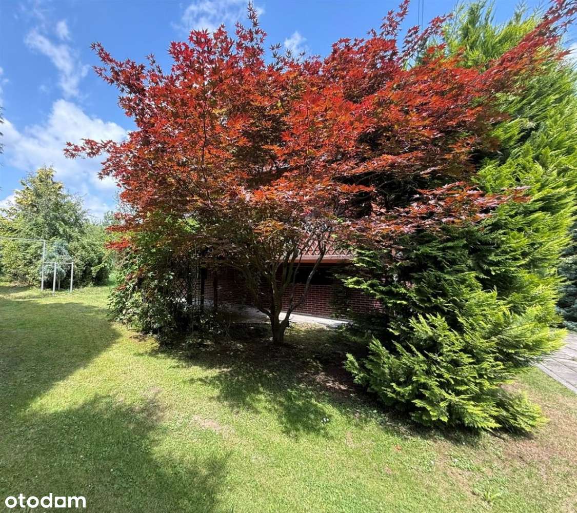 Dom Na Sprzedaż Włosienica ul. Suskiego-19