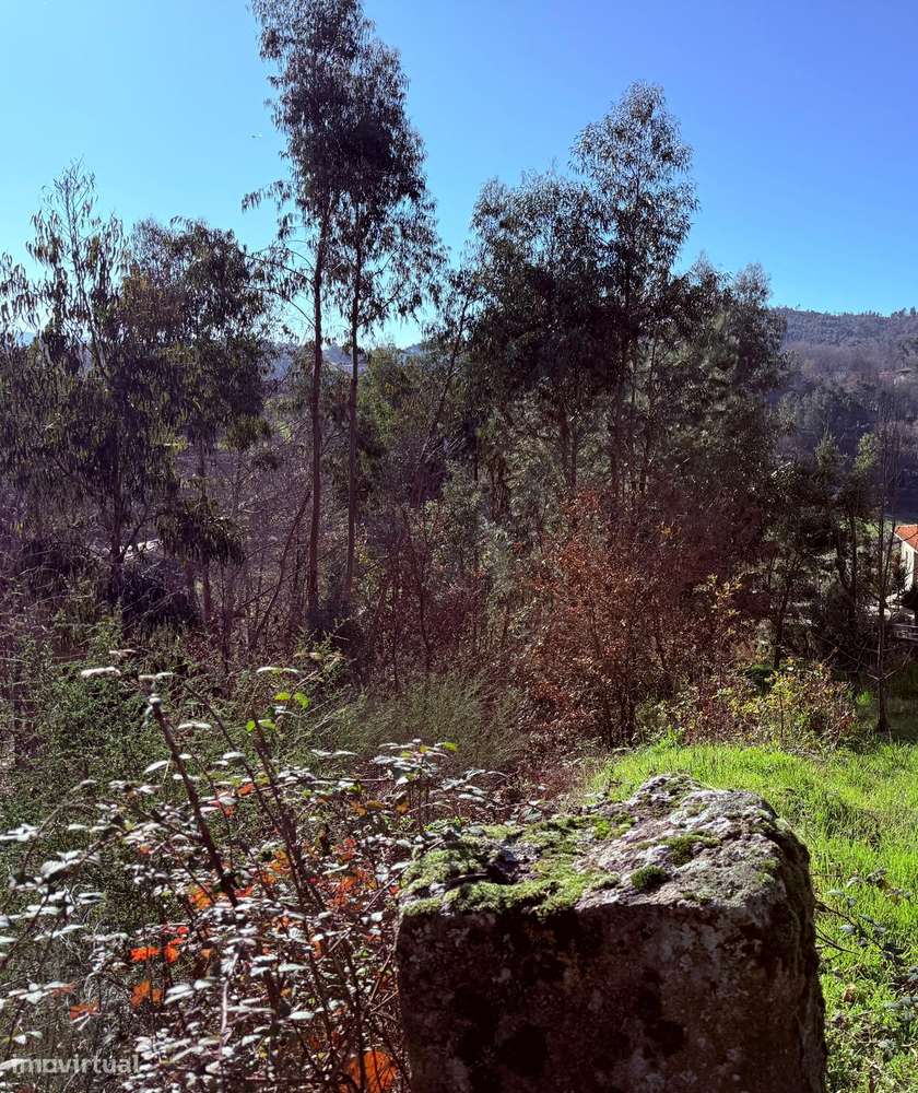 Terreno em Celorico de Basto - Grande imagem: 5/10