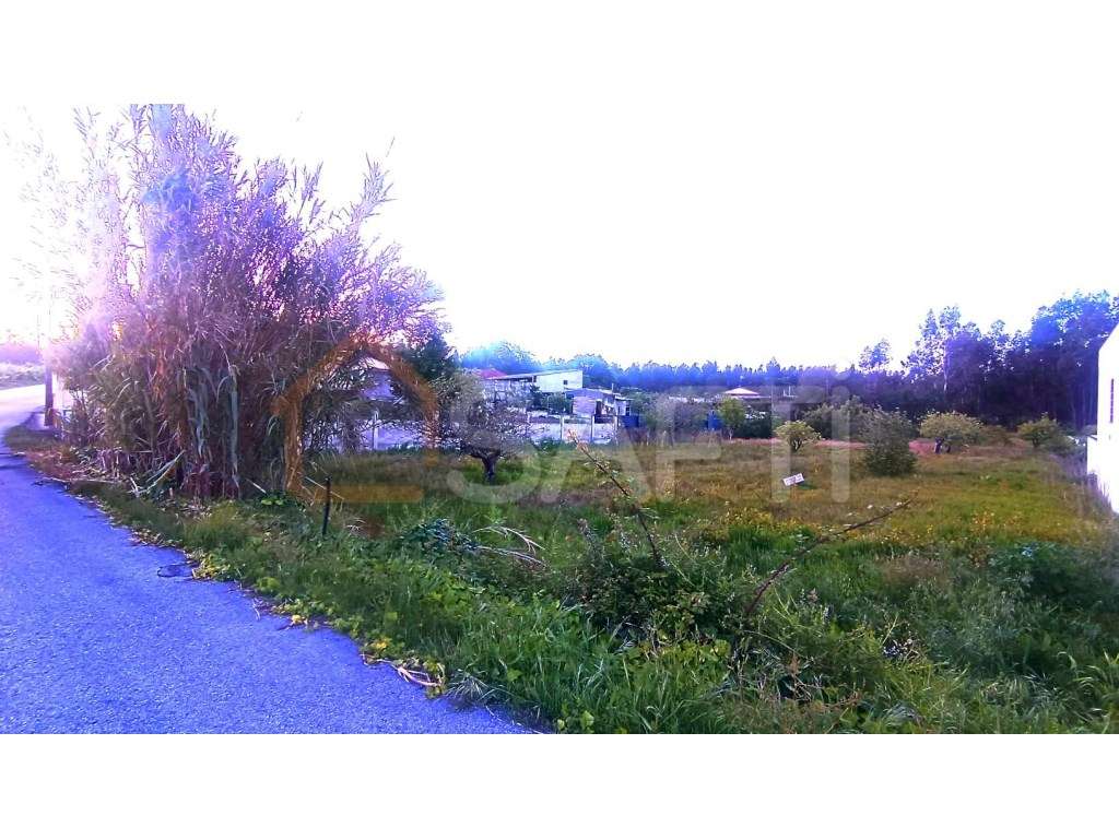 Terreno urbanizável - Grande imagem: 5/5
