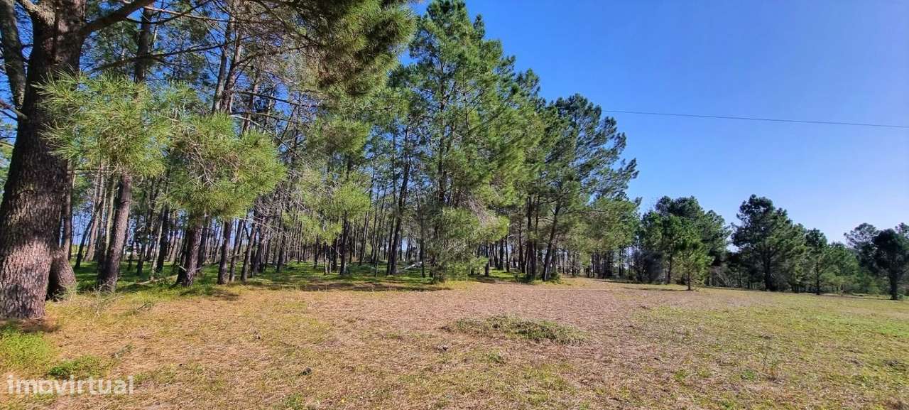 Terreno Misto com 35.020m2 - Grande imagem: 5/19