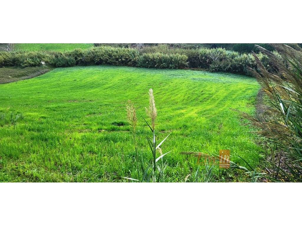 Terreno Rústico com 9.600 m2 em Vila Franca do Rosário - Grande imagem: 5/11