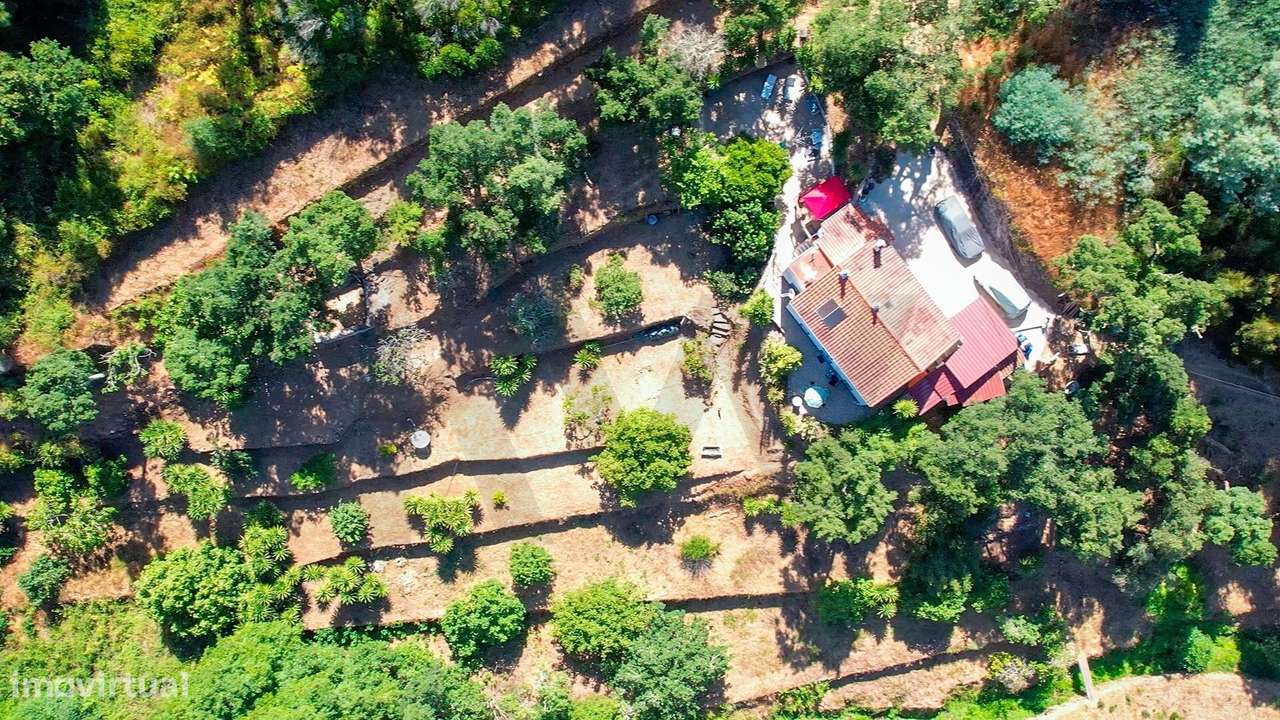 Moradia T2 com Jardim e Privacidade na Serra de Monchique - Grande imagem: 2/27