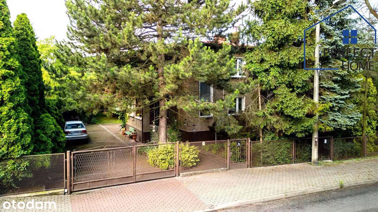 Dom z piękną działką, Centrum Rybnika Piec V klasy - Pełny obrazek: 4/20