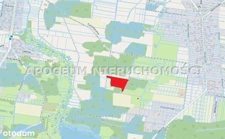 Piękna działka - Ciasne gm. Supraśl-6