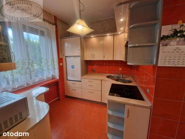 Parter, dwa pokoje, duży taras, duża piwnica-6