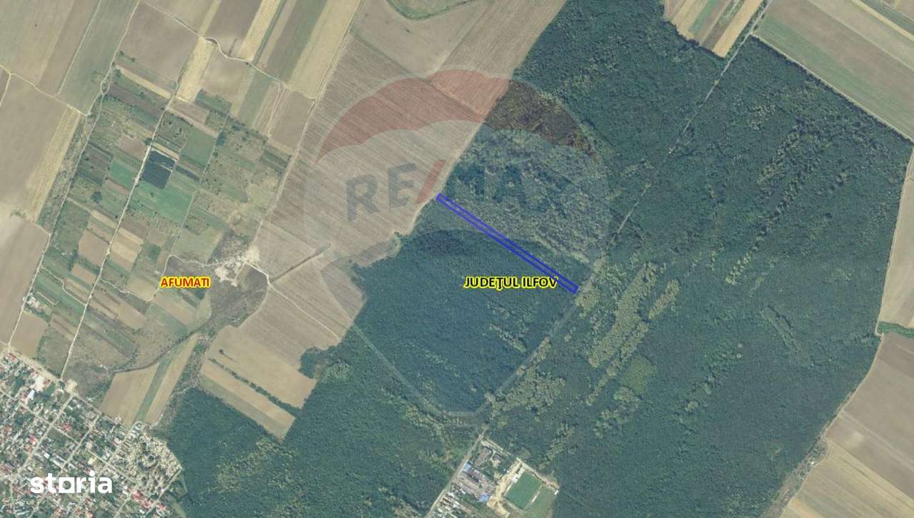 Teren 10,000mp Afumati | Padure | Soseaua Petrachioaia - Imagine principală: 1/6