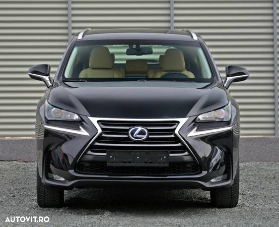 Lexus Seria NX - 13