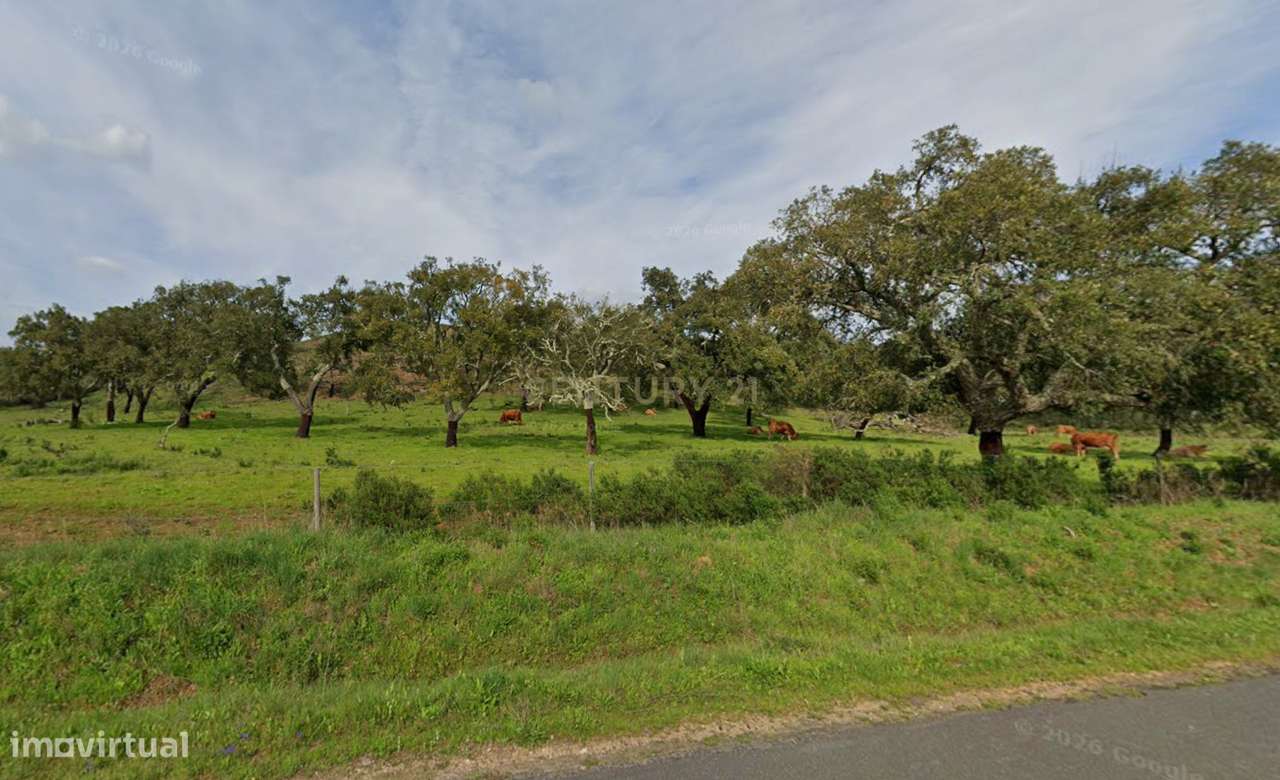 Herdade 237 Hectares Elevado Potencial de Desenvolvimento, Santiago do-17