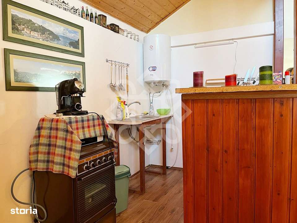 Casa cu teren 2052 mp in Saldabagiu de Munte - Imagine principală: 4/19