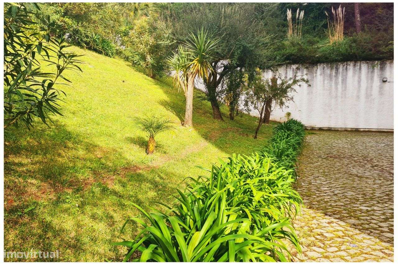 Coimbra T3 desafogado com garagem-23