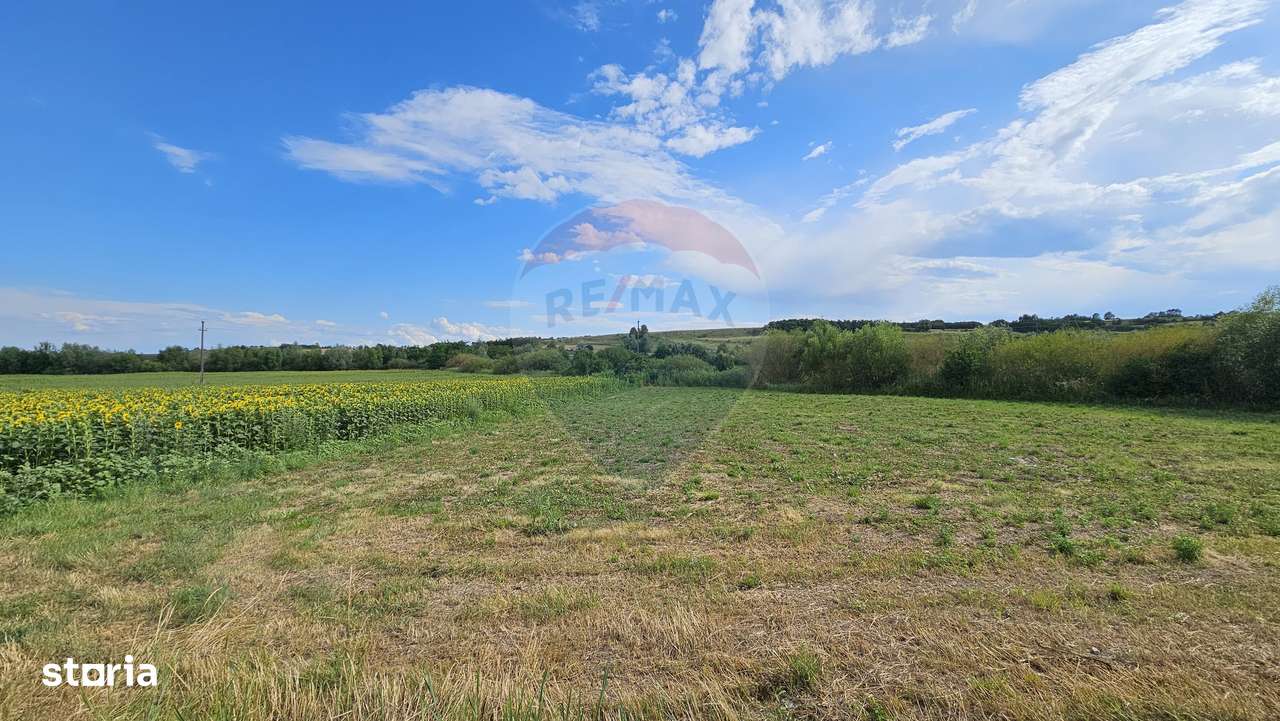 Teren extravilan 12000 mp- Pădureni-Șendriceni, Botoșani - Imagine principală: 1/4