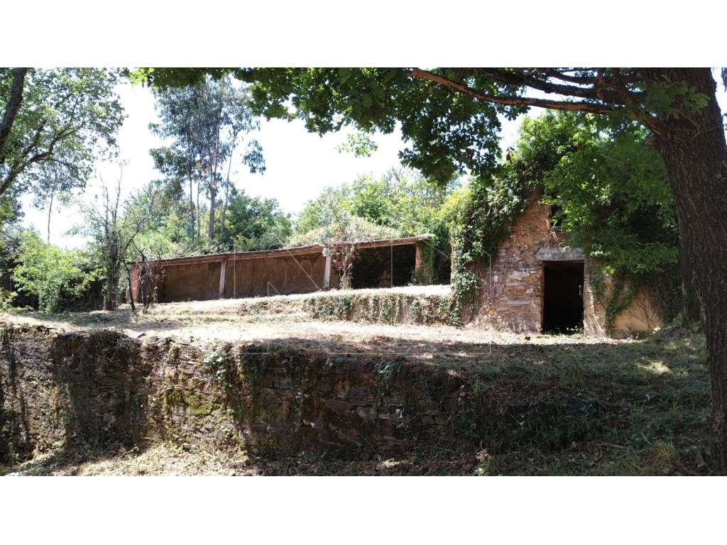 Terreno/quinta com pequena edificação - Grande imagem: 4/15