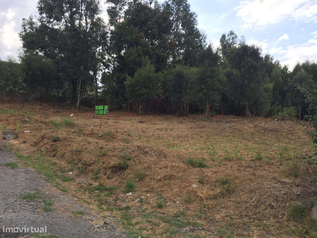 Terreno Urbano 2300m2 - Grande imagem: 2/3