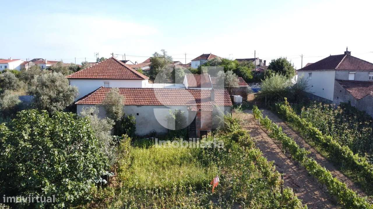 Moradia + terreno com vista sobre a Barragem da Aguieira - Grande imagem: 2/30