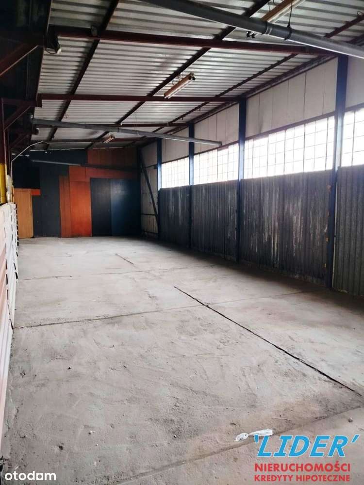 Hala Magazynowo-Produkcyjna W Tychach - Pełny obrazek: 4/7