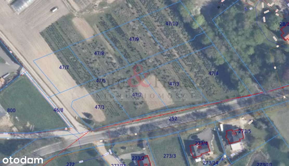 Działki 300 m od jeziora Lubichowskiego - Pełny obrazek: 4/4