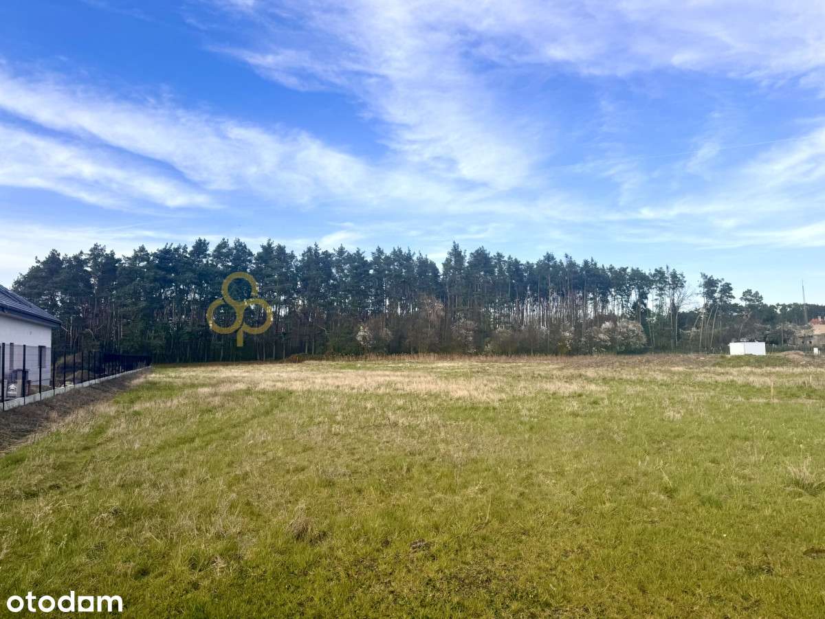 działka budowlana koło lasu - Pełny obrazek: 2/3