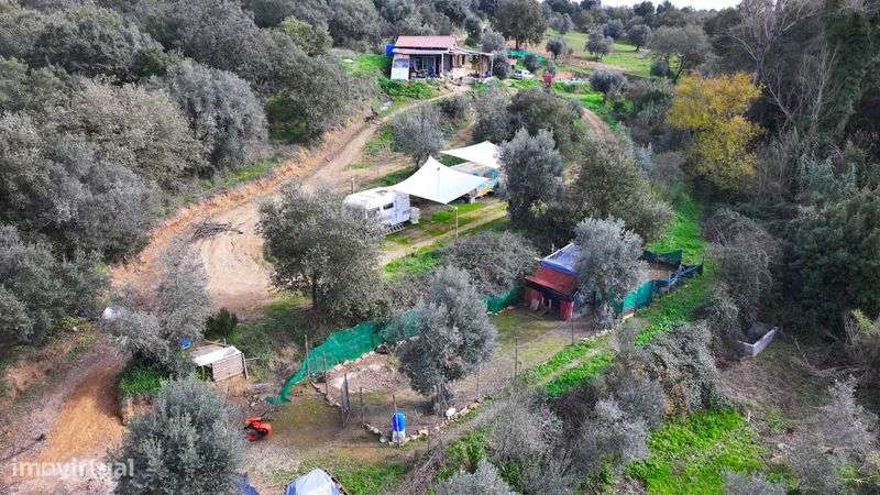 terreno rustico portugal 11500 m/2 - Grande imagem: 4/10