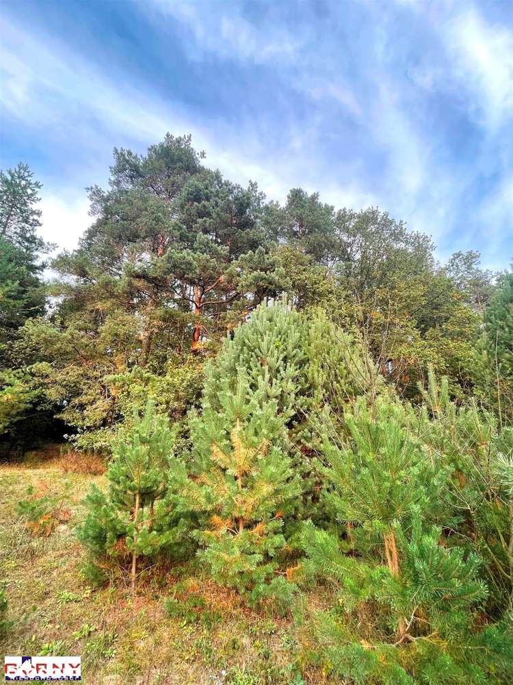 sprzedam lub oddam w dzierżawę-5