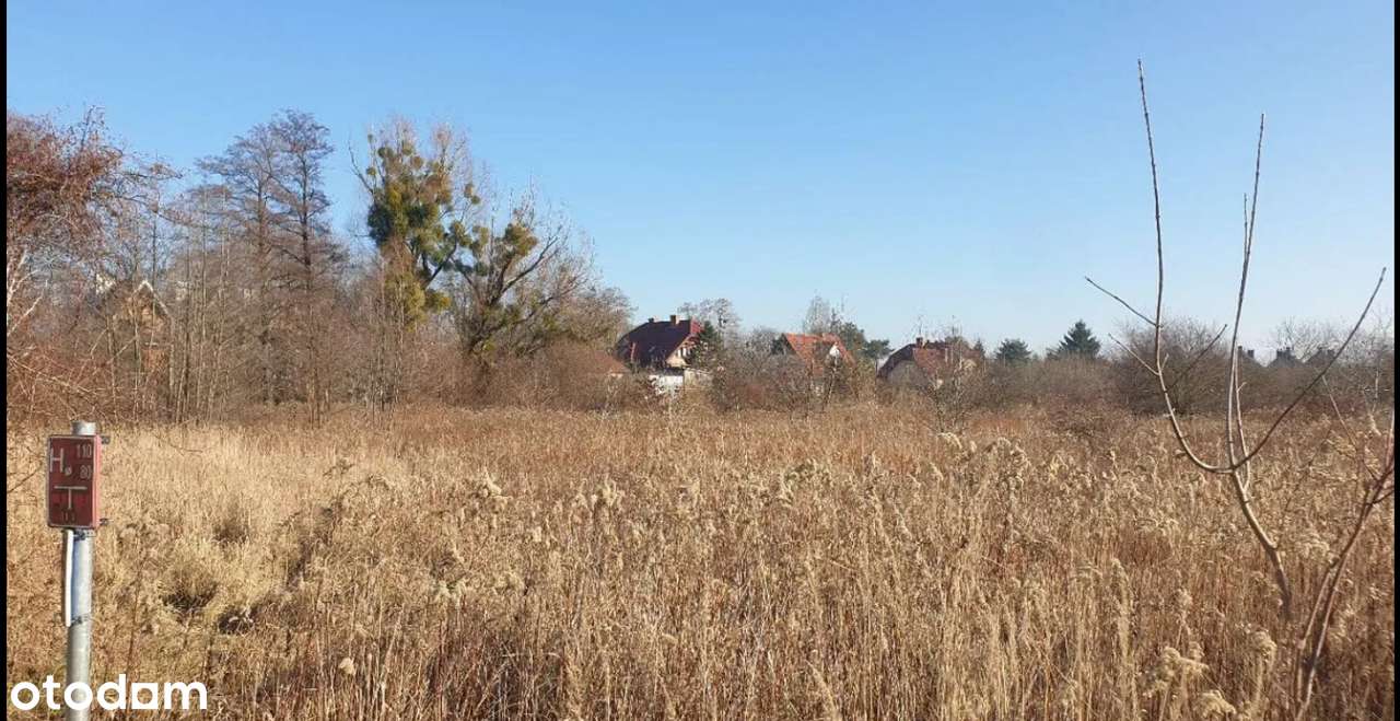 Możliwa większa powierzchnia, na sauny, day spa, plac zabaw,